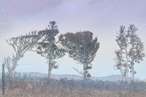 荒野に立つ木　落葉