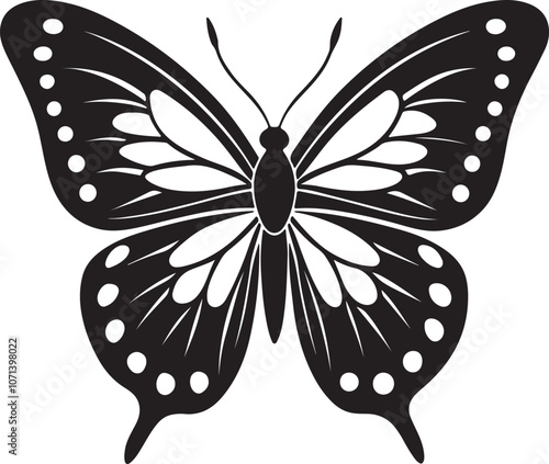 black and white butterfly