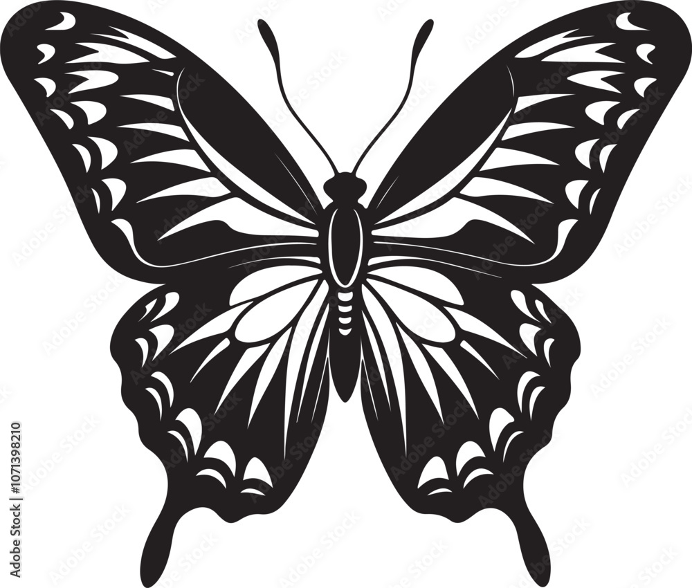 butterfly isolated on white background butterfly isolated on white background
