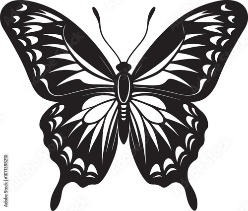 butterfly isolated on white background