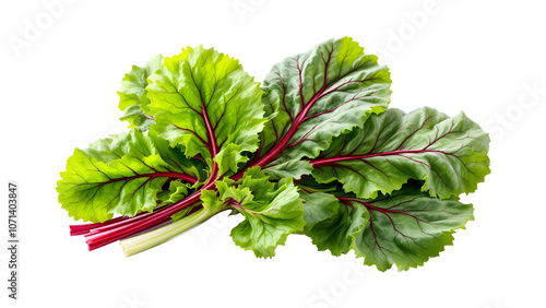 Fresh Swiss chard vegetable on transparent background