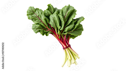 Fresh Swiss chard vegetable on transparent background