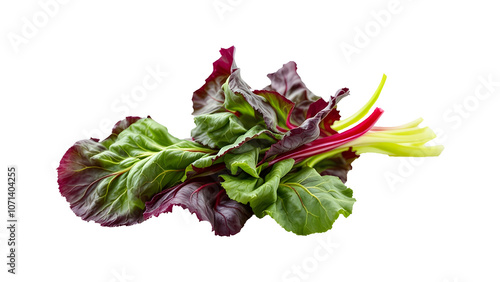 Fresh Swiss chard vegetable on transparent background