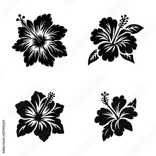 Hibiscus flower black white silhouette