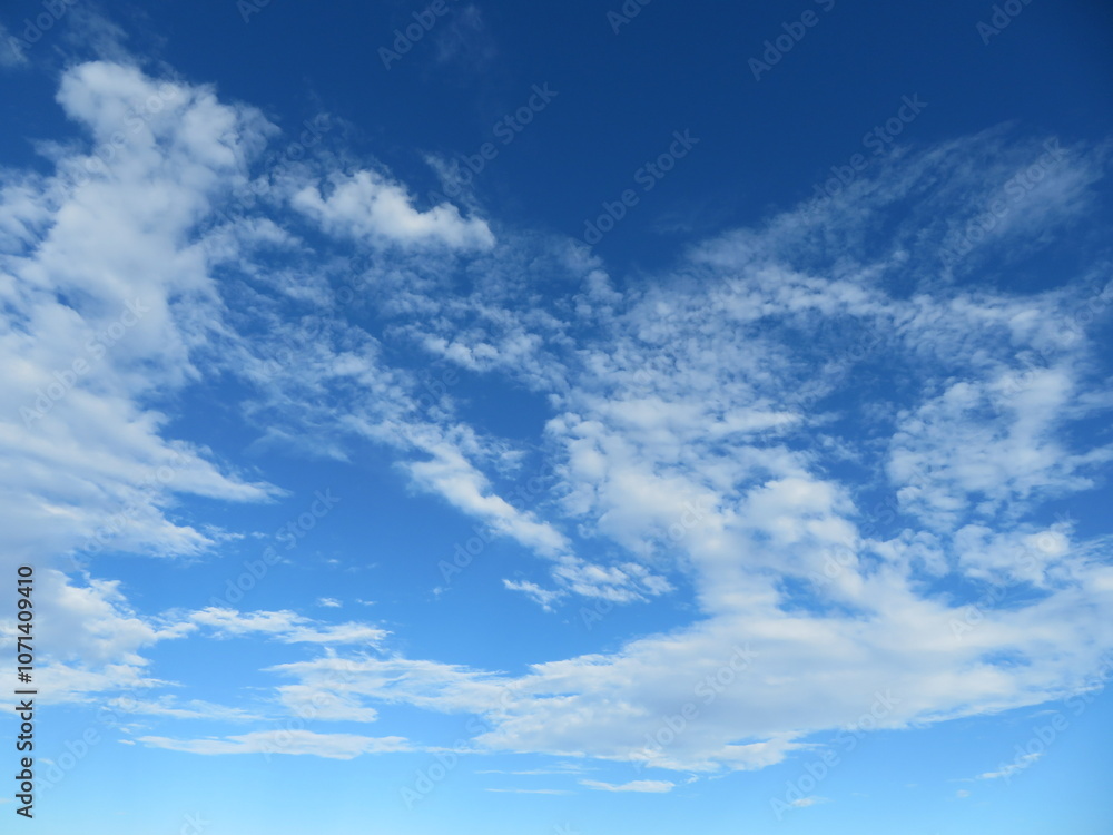 Fototapeta premium 清々しい夏の空
