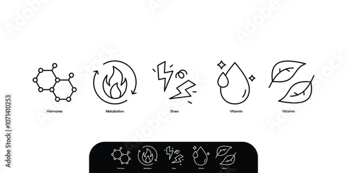 supplement packaging icon set hormones, metabolism, stress, vitamin, nutrition icon set vector illustration 