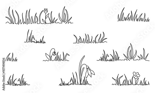 Set of grass and flower elements in minimalistic simple line art style. Doodle sketch collection of various grass clumps, sprout and delicate flowers, ideal for nature and botanical themes