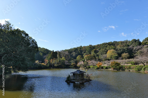 町田薬師池公園の薬師池

