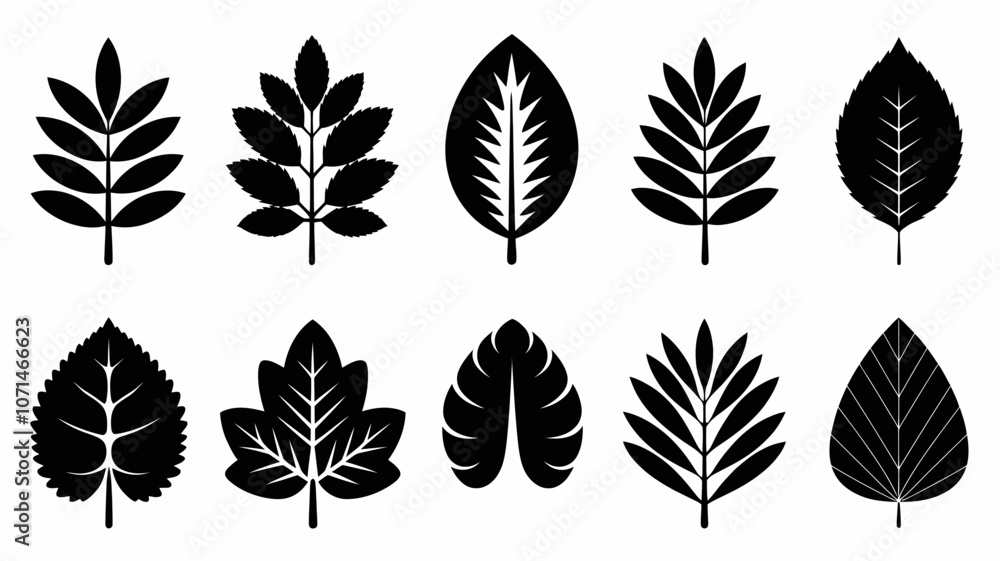 Fototapeta premium Bold Black Silhouette Leaf Collection Versatile Botanical Icons for Nature & Organic Themes 