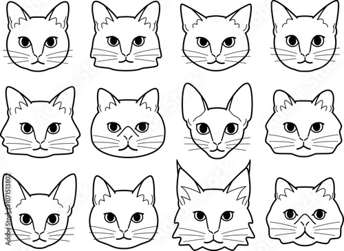 Various types of cat faces.