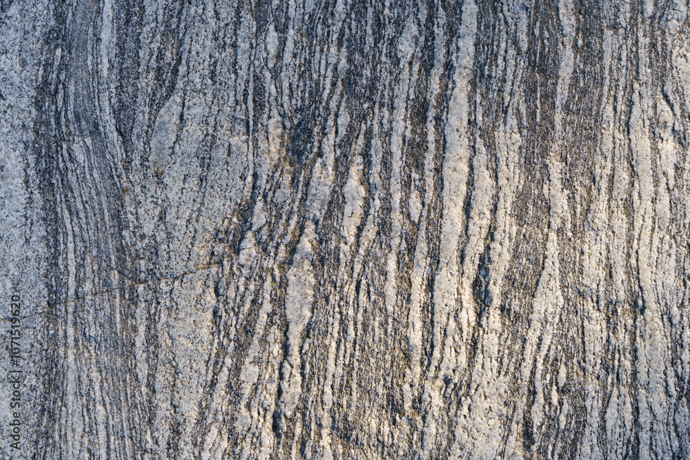 Obraz premium Textured stone surface with intricate patterns