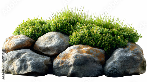 Rock and Grass Illustration