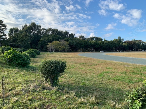 夢の島公園内の景色