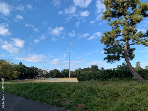 夢の島公園内の景色