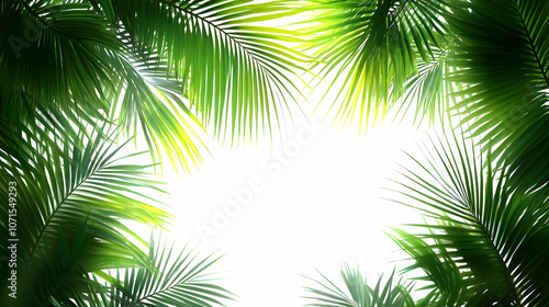 Palm Leaves Green Background Illustration