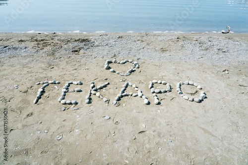 Tekapo Written in Stones on Lake Tekapo Beach: New Zealand Scenic Spot