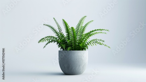 A minimal plant placed on a white background with natural lighting highlights the photorealistic details and high contrast of the scene. AI generative
 photo