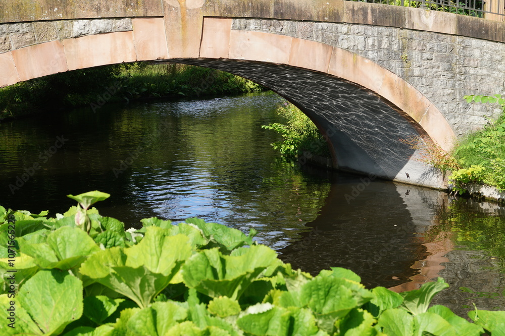 Fototapeta premium Il ponte dei riflessi
