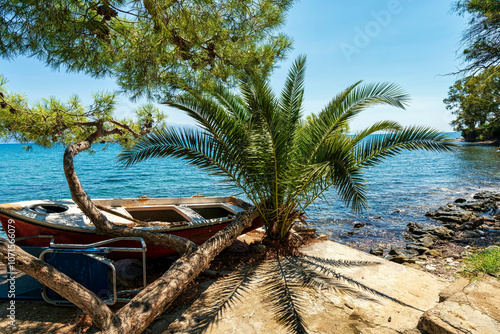 Fototapeta Naklejka Na Ścianę i Meble -  Beached Rowboat under Palm Tree at Petalidi Shore