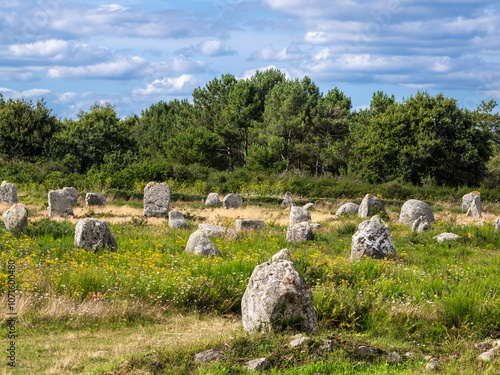 Large menhirs - neolithic standing stones in Carnac, Brittany photo