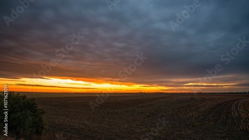 Sonnenaufgang über einem Feld