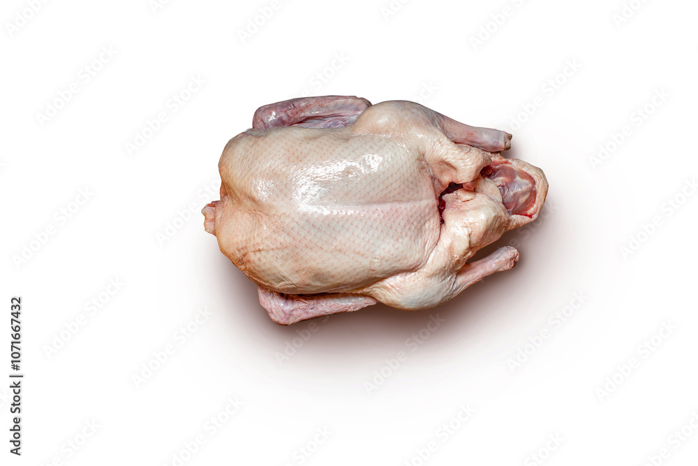 A raw whole chicken displayed on a plain white background, showcasing its fresh quality and suitability for roasting or culinary preparation