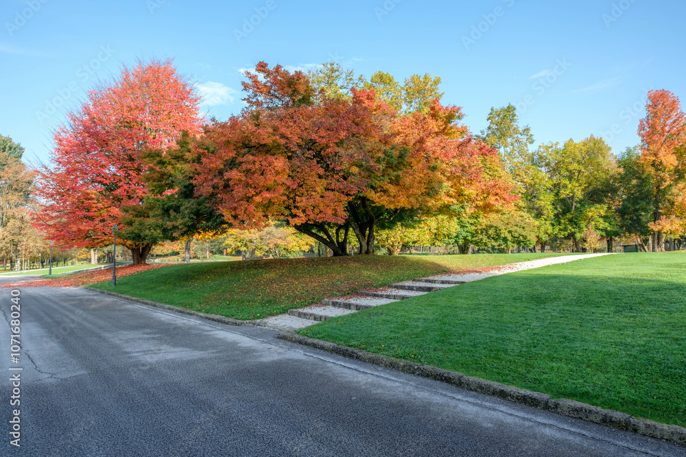 Naklejka premium Autumn in park Brdo, Kranj, Slovenia