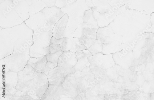 Crack white concrete wall. Background