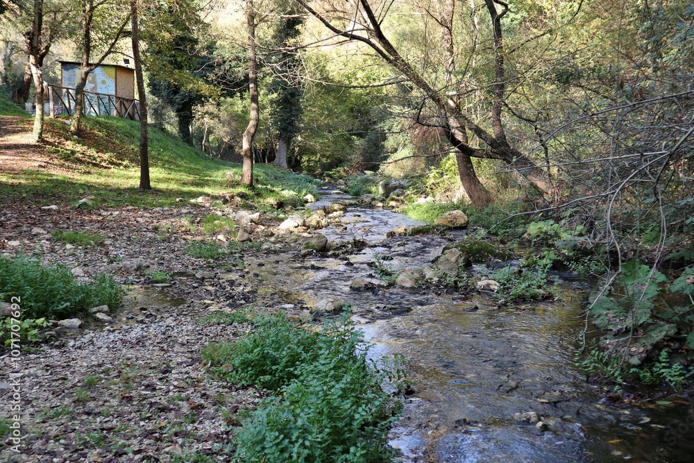 Carpinone - Tratto del Torrente Carpino nel Parco delle Cascate