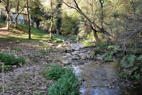 Obraz na płótnie Carpinone - Tratto del Torrente Carpino nel Parco delle Cascate w salonie