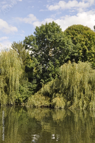 Fotografía Le Loing in Moret sur Loing