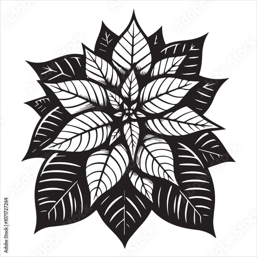 Classic Black and White Poinsettia Illustration for Holiday Designs. This striking black and white illustration of a poinsettia captures the festive spirit of the holiday season.