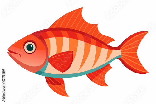 Squirrelfish vector on white background photo