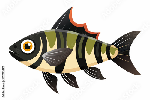 Archerfish vector on white background