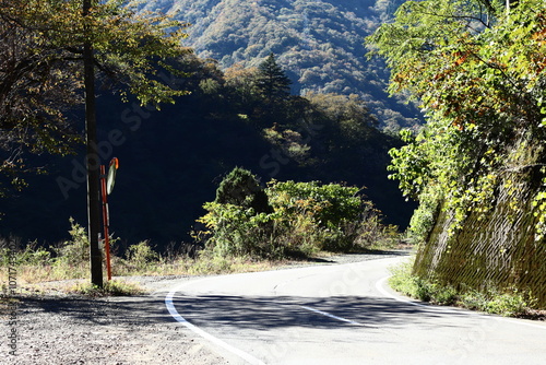 岐阜県揖斐川町藤橋の道路とカーブミラー photo