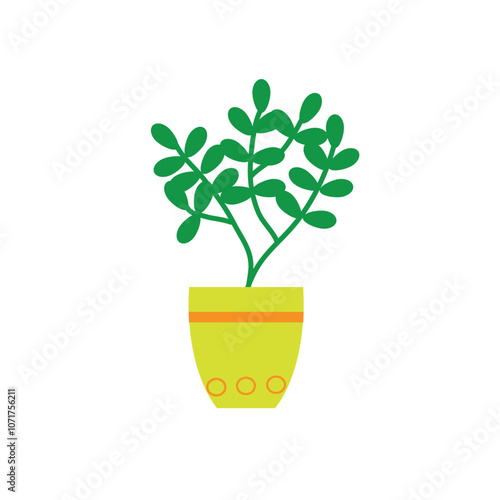 a beautiful green houseplant in a pot for indoor flowers on a transparent background