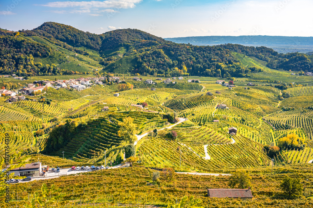 Valdobbiadene, hills and vineyards along the Prosecco road. Italy