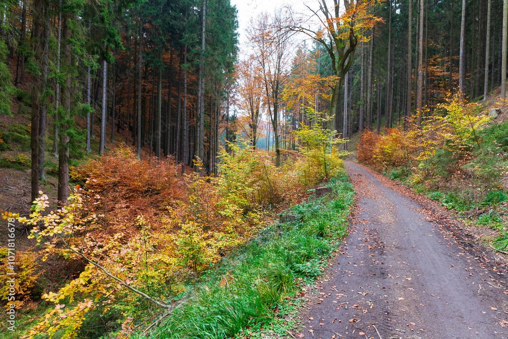 Colorful autumn Landscape in Bohemian Paradise, Czech Republic