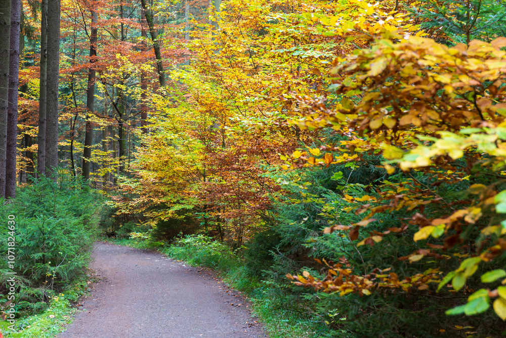 Colorful autumn Landscape in Bohemian Paradise, Czech Republic