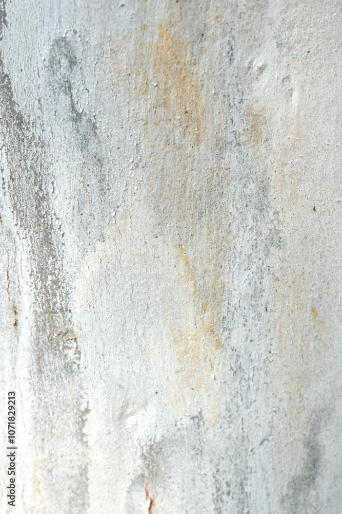 Eucalyptus tree bark texture, Bark of eucalyptus tree, seamless texture, a eucalyptus tree bark texture background image Eucalyptus tree bark texture, Bark of eucalyptus tree, seamless texture, a eucalyptus tree bark texture background image
