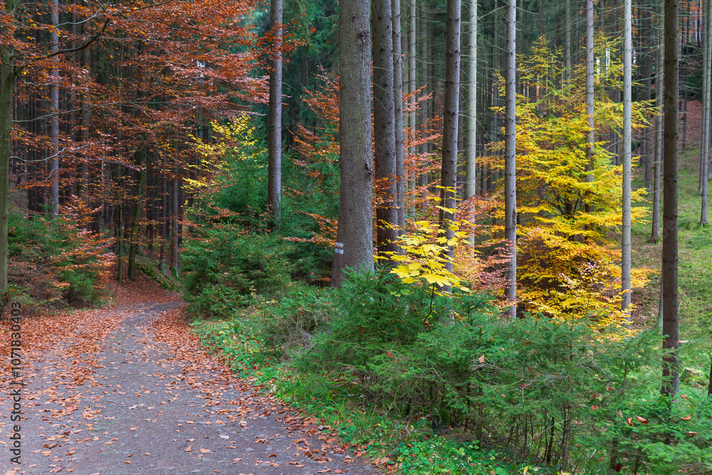 Colorful autumn Landscape in Bohemian Paradise, Czech Republic