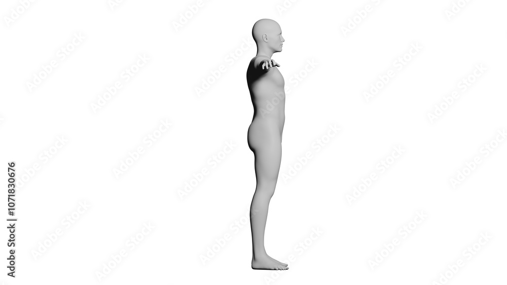 White Male Mannequin in T-Pose Isolated on Transparent Background. Side View (Lateral). White Male Mannequin in T-Pose Isolated on Transparent Background. Side View (Lateral).
