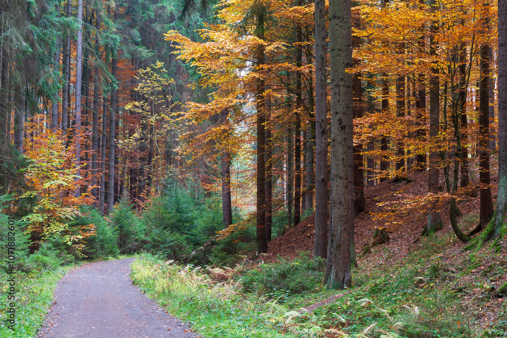 Colorful autumn Landscape in Bohemian Paradise, Czech Republic