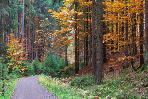 Obraz na płótnie Colorful autumn Landscape in Bohemian Paradise, Czech Republic w salonie