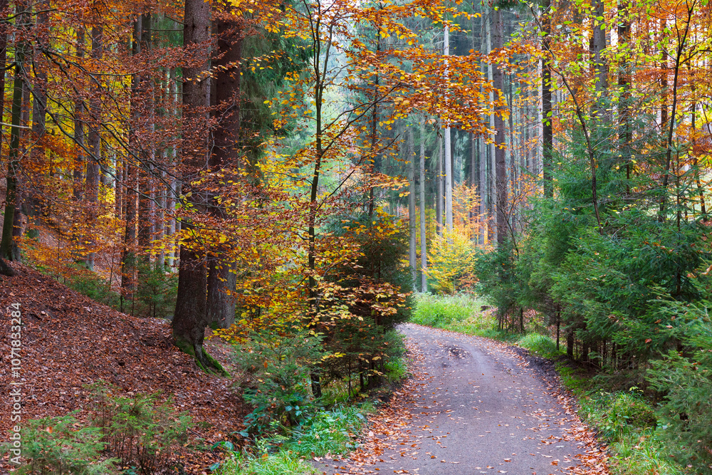 Colorful autumn Landscape in Bohemian Paradise, Czech Republic