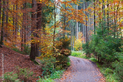 Obraz na płótnie Colorful autumn Landscape in Bohemian Paradise, Czech Republic w salonie