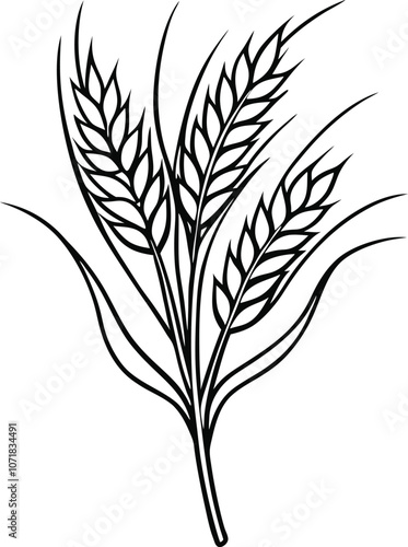 Set of Single one line drawing wheat concept. Continuous line draw design graphic vector