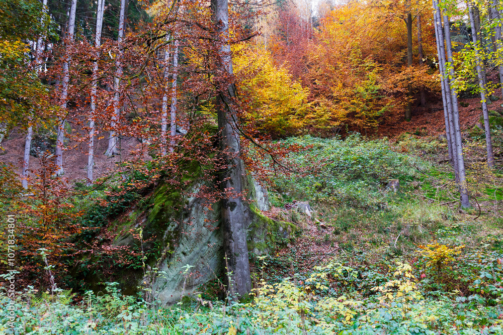 Colorful autumn Landscape in Bohemian Paradise, Czech Republic