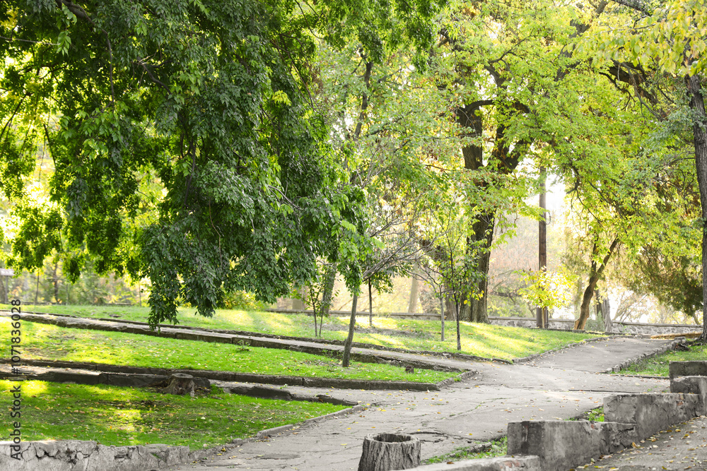 Beautiful autumn park with trees and alleys on sunny day Beautiful autumn park with trees and alleys on sunny day