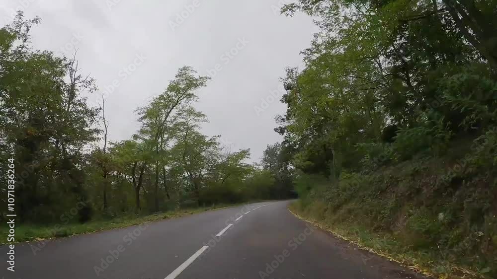 Timelapse POV of driving through a forest in Alsace in France Timelapse POV of driving through a forest in Alsace in France